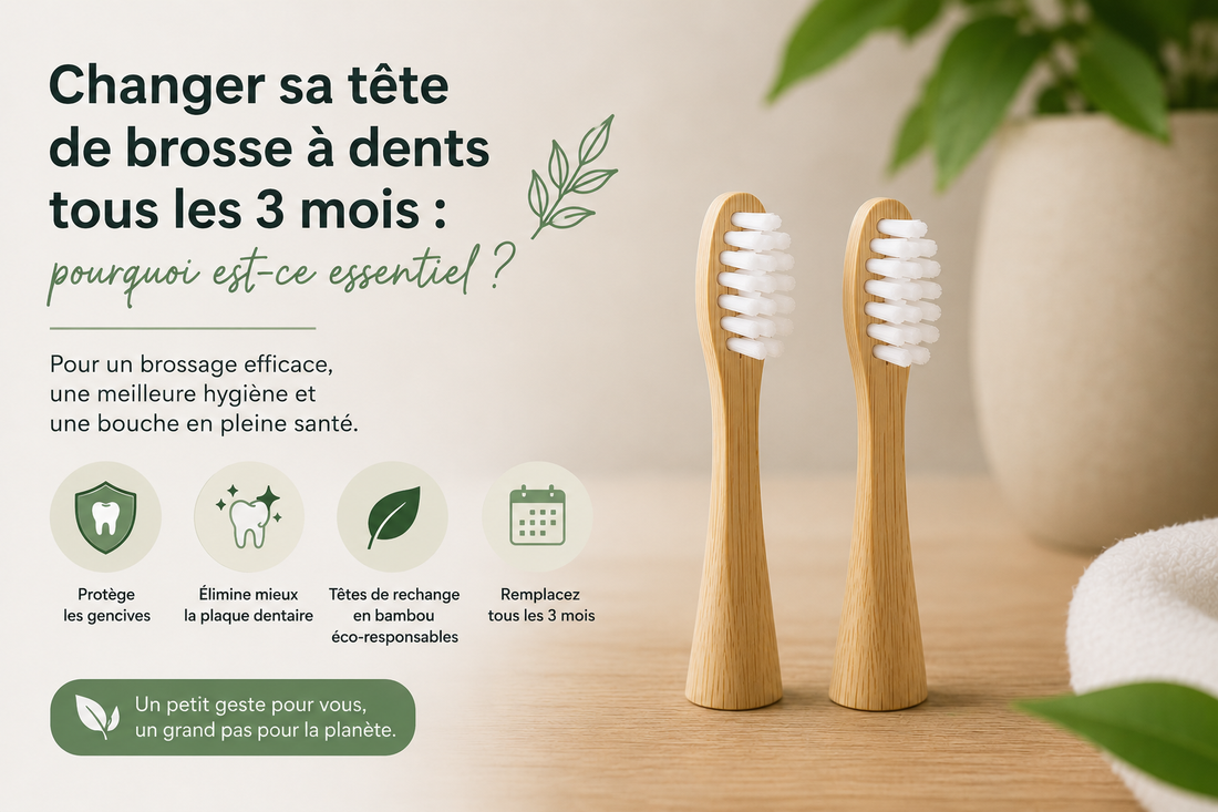 Changer sa tête de brosse à dents tous les 3 mois : pourquoi est-ce essentiel ?