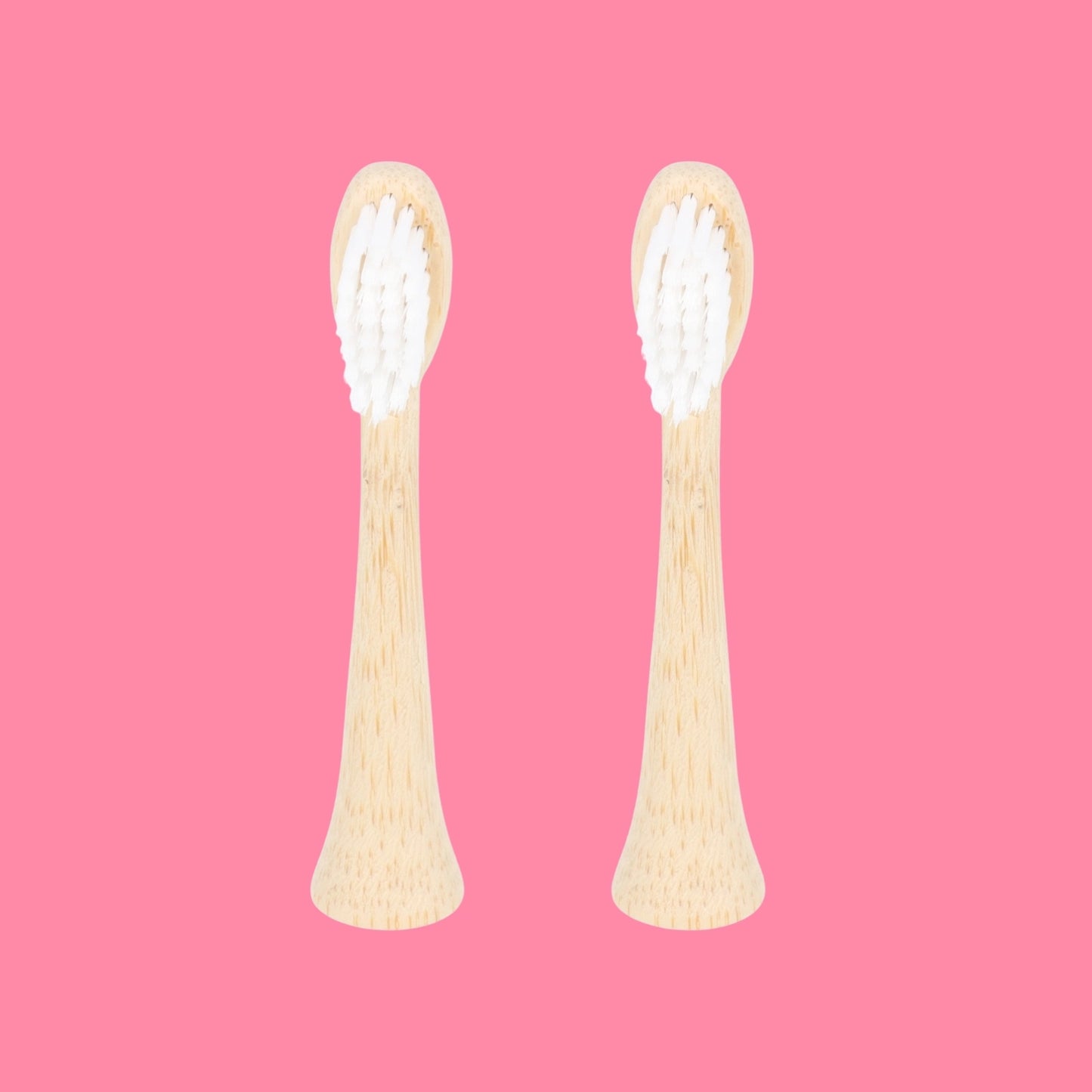 Pack de 2 têtes de brosse en poils issus d'huile de ricin