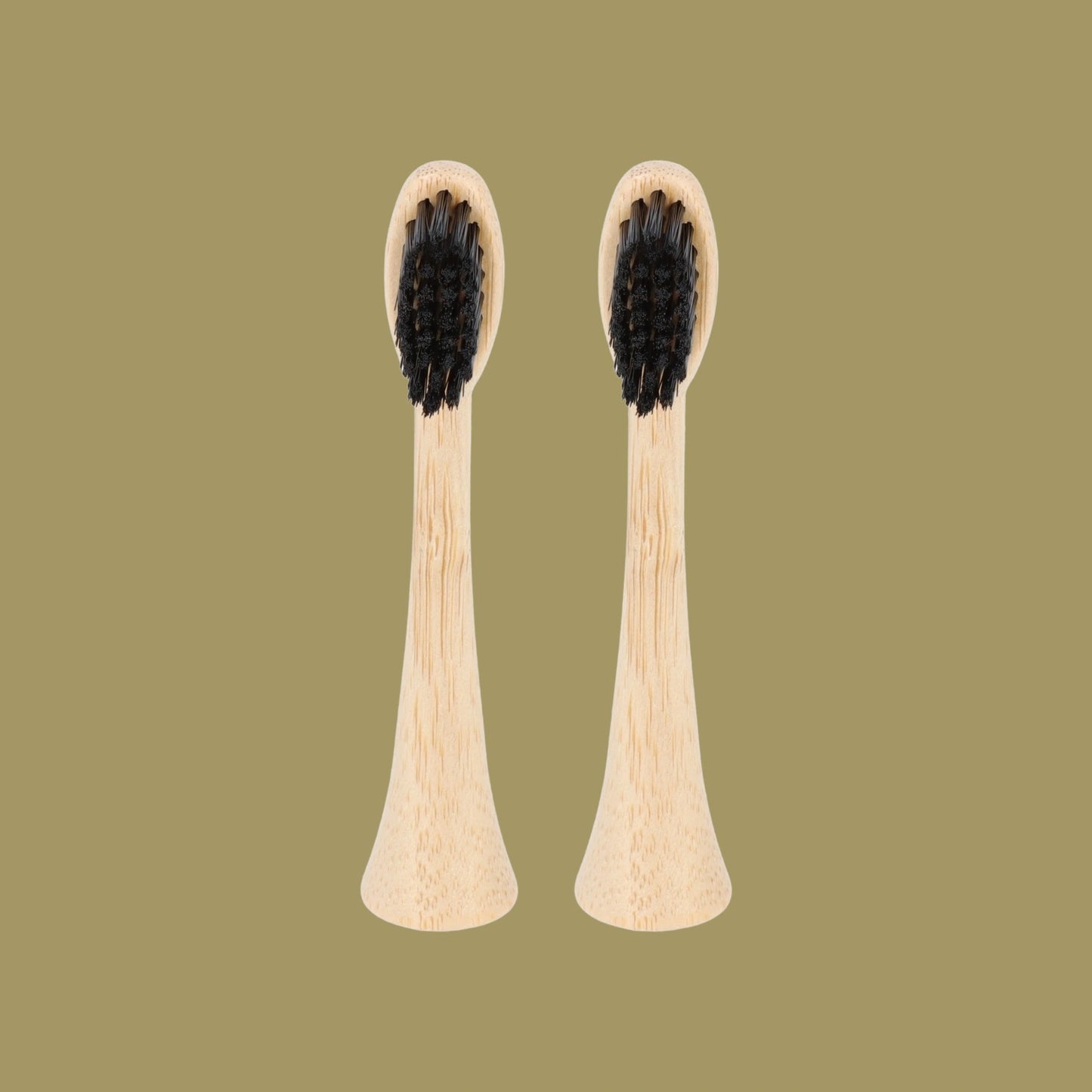 2 têtes de rechange en bambou avec poils en nylon pour brosse à dents électrique Pulse Care