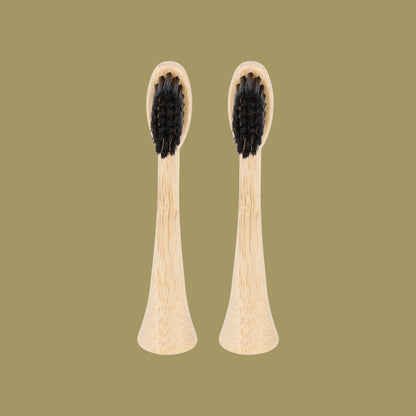 2 têtes de rechange en bambou avec poils en nylon pour brosse à dents électrique Pulse Care