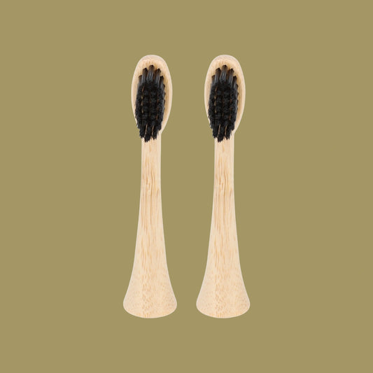 2 têtes de rechange en bambou avec poils en nylon pour brosse à dents électrique Pulse Care